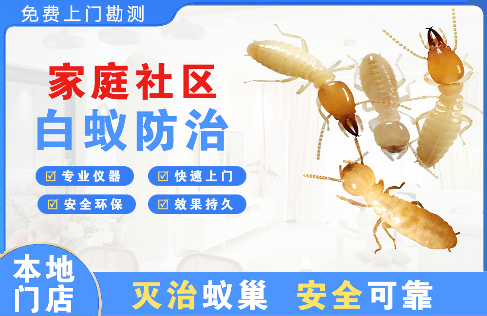 重庆家庭社区白蚁防治