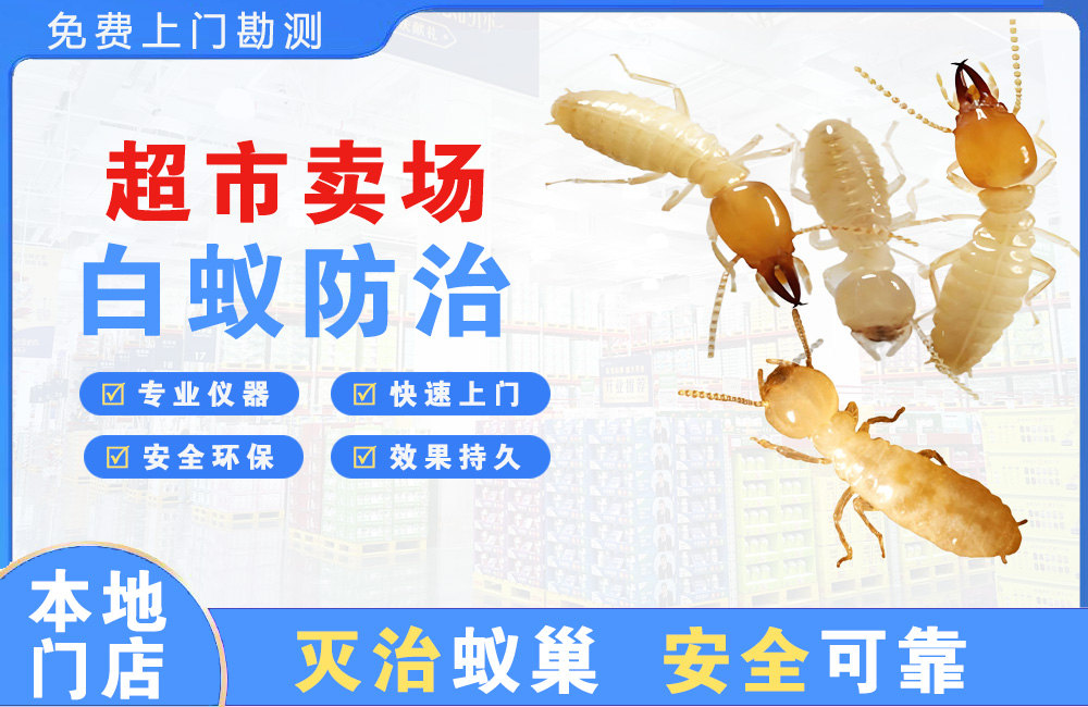 重庆超市卖场白蚁防治