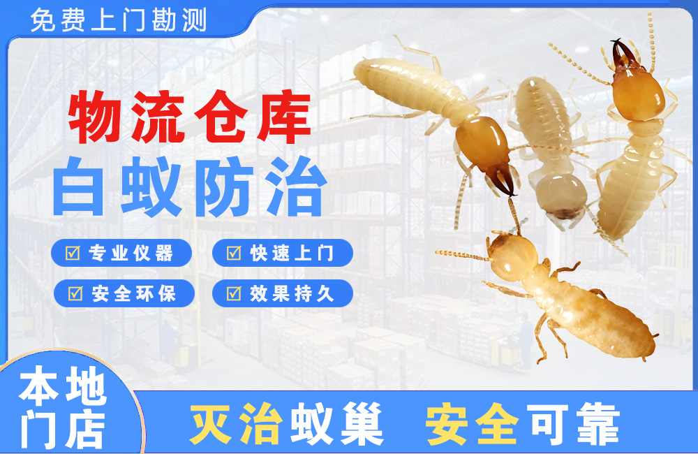重庆物流仓库白蚁防治
