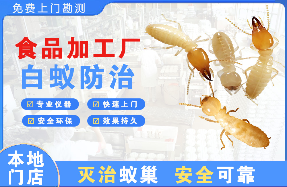 重庆食品加工厂白蚁防治