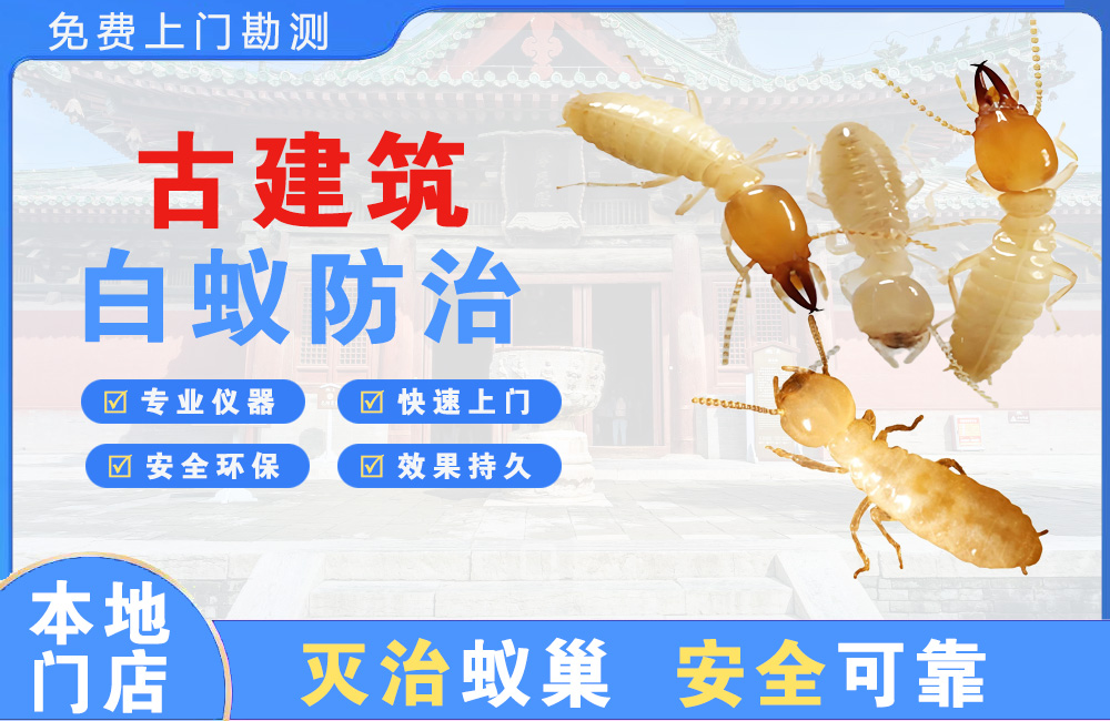重庆古建筑白蚁防治