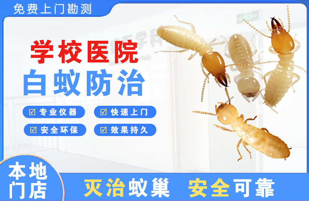 重庆学校医院白蚁防治