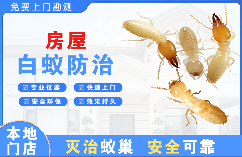 重庆房屋白蚁防治