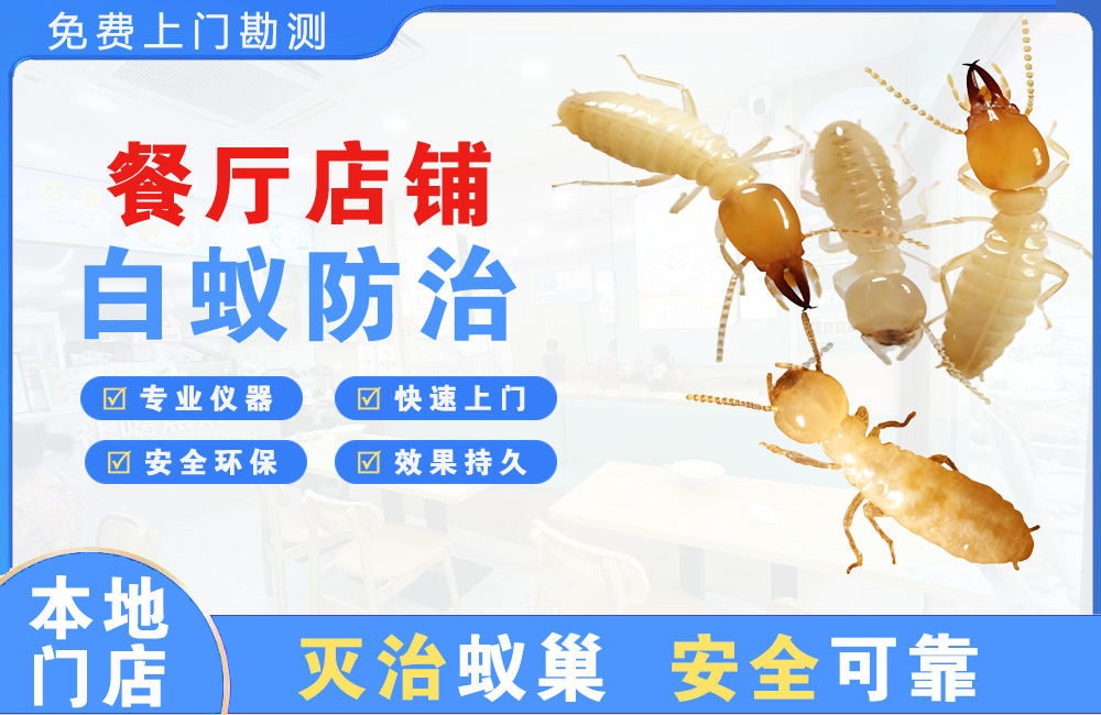 重庆餐厅店铺白蚁防治